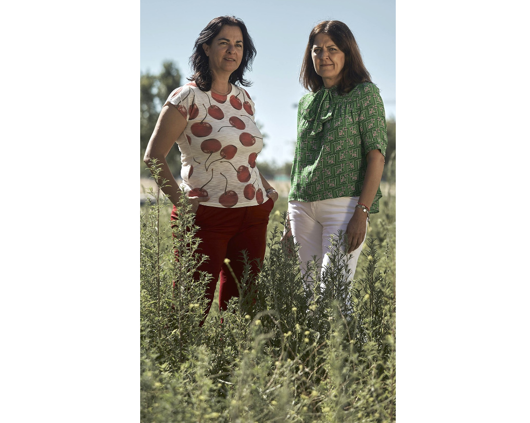 pepa y blanca
