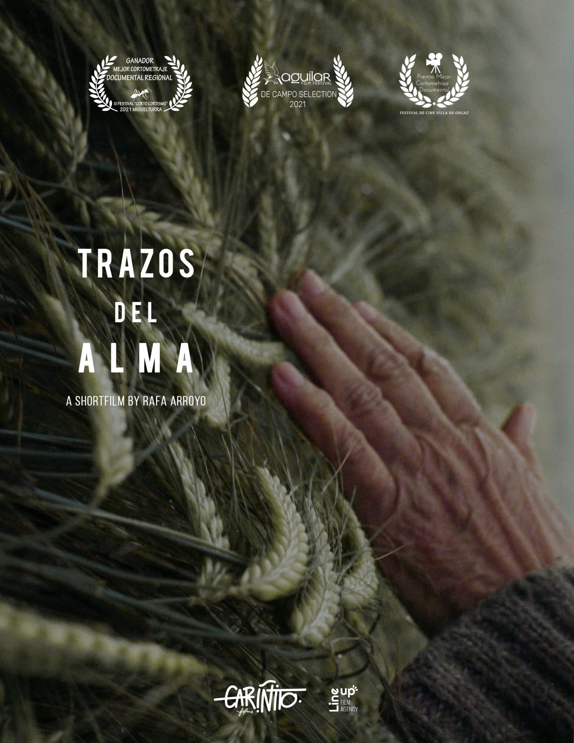 15. Trazos del alma Sección oficial 2022 - Festival Corto Ciudad Real